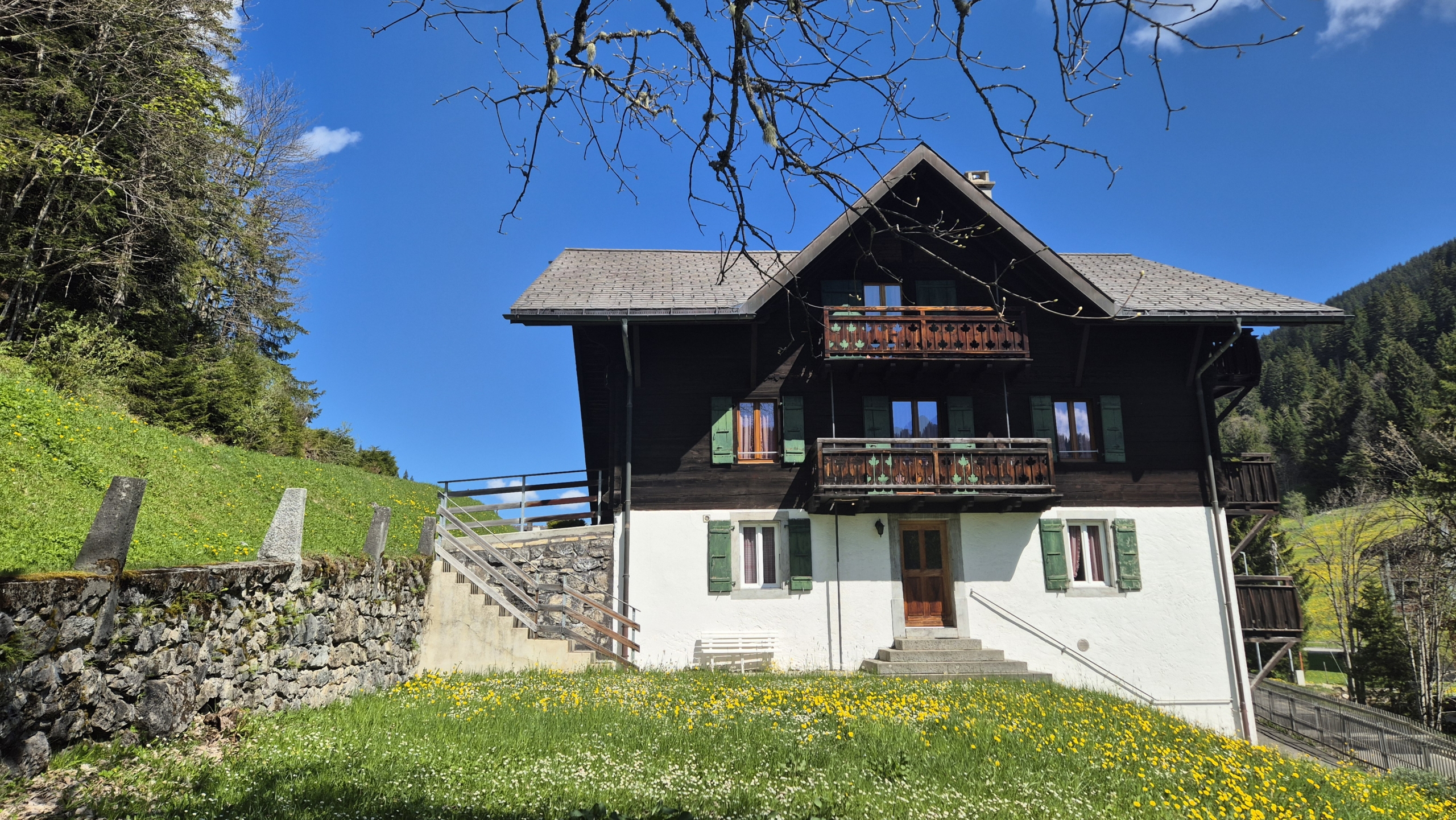 chalet à Morgins façade sud
