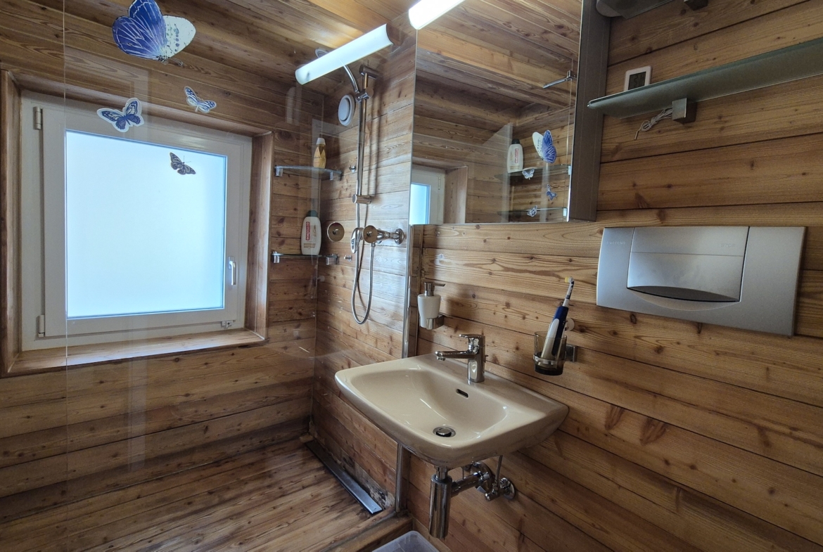 salle de douche avec boiserie