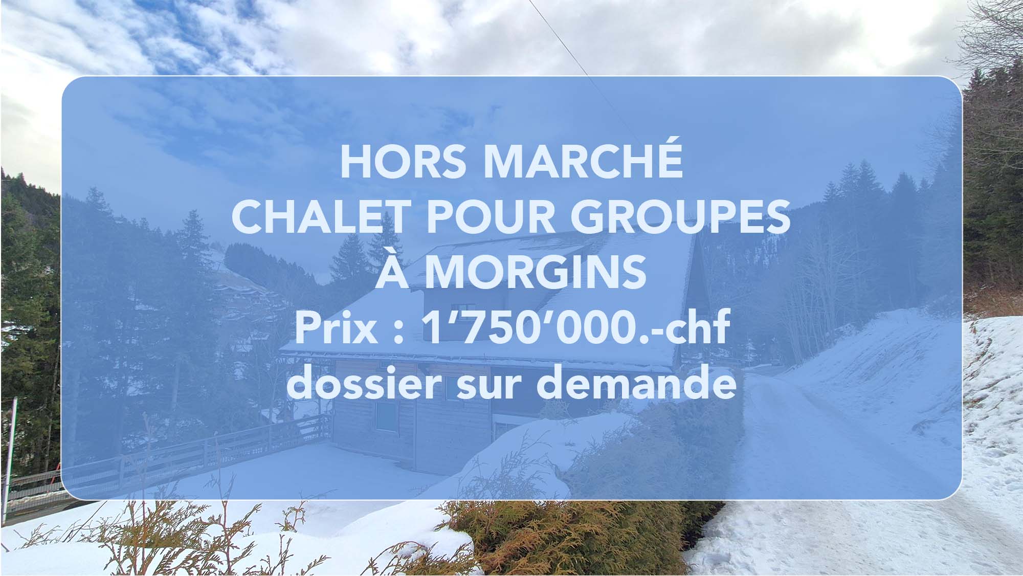hors marché CHALET MORGINS