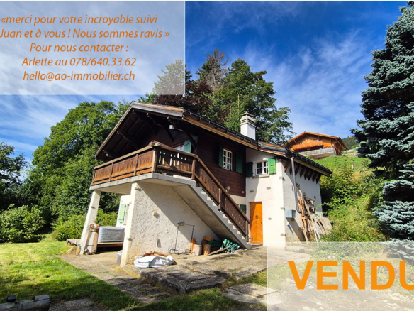 chalet Leysin