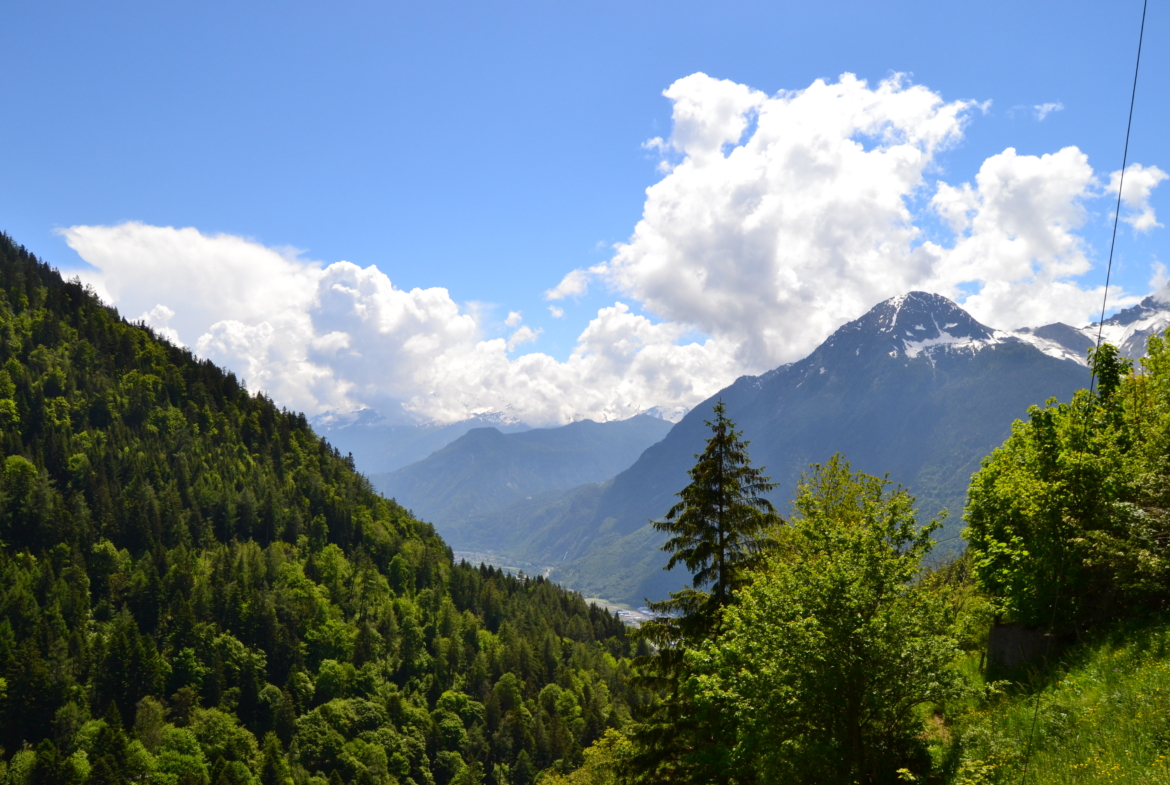 vue sur la plaine au dessus de Lavey