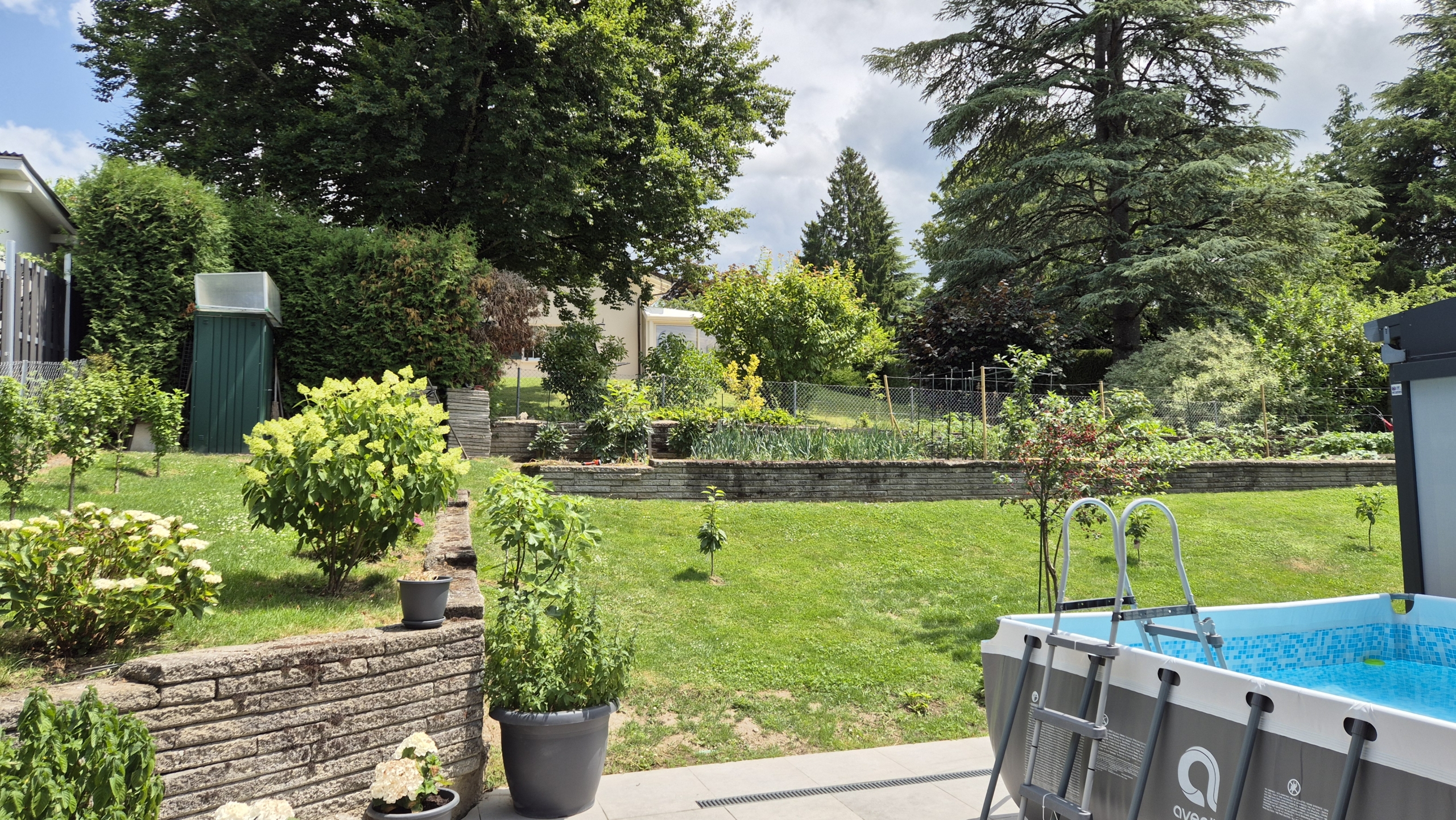 piscine et jardin