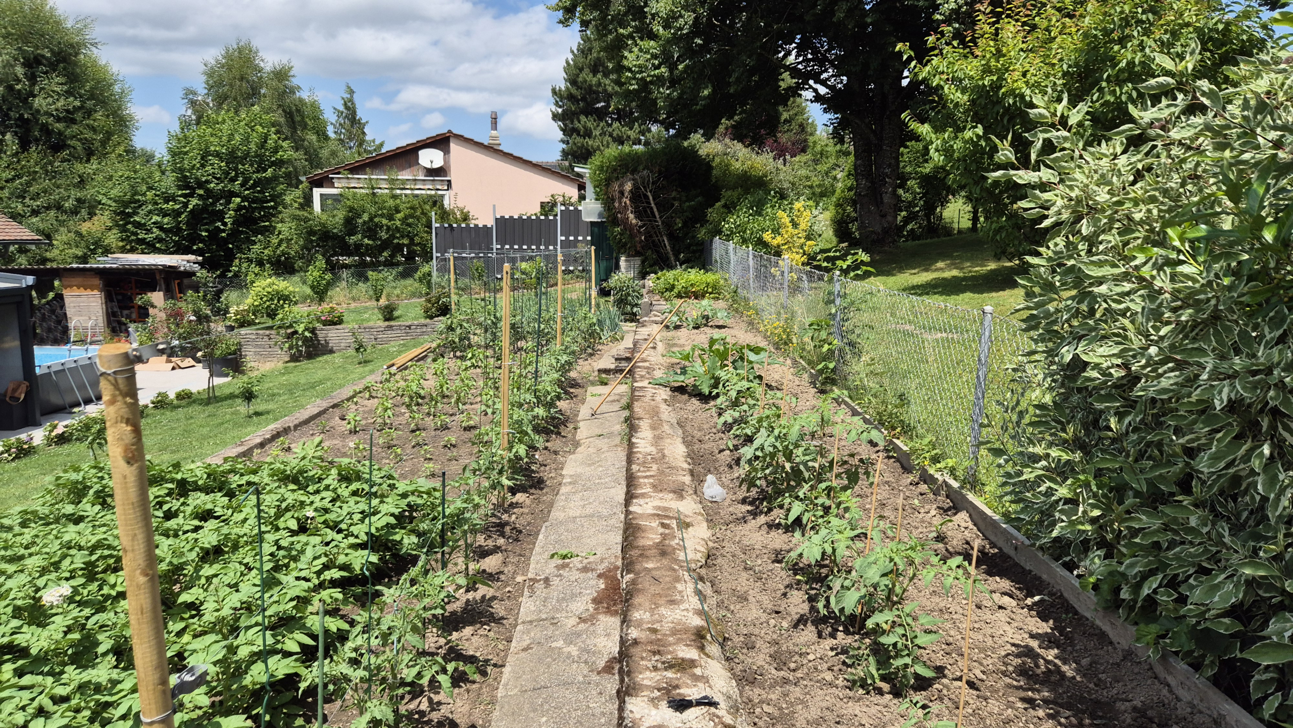 jardin potager