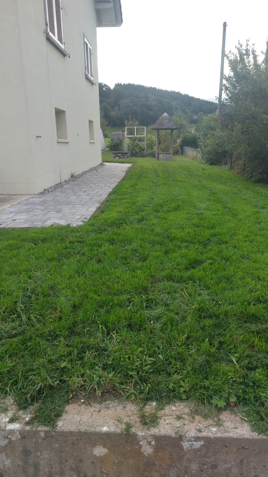 Vuarmarens jardin