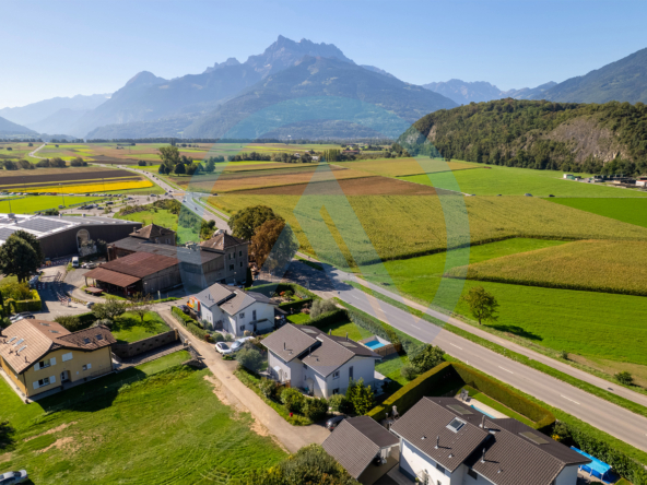 vue sur les Dents-du-Midi