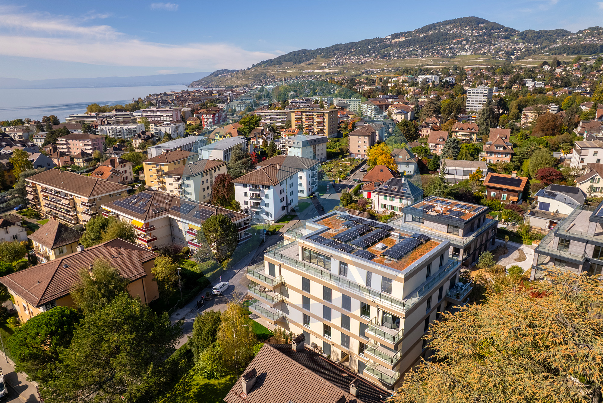 La Tour de Peilz, bâtiment