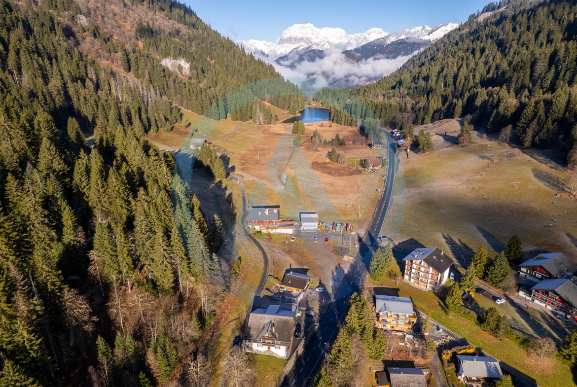 vue du ciel Morgins