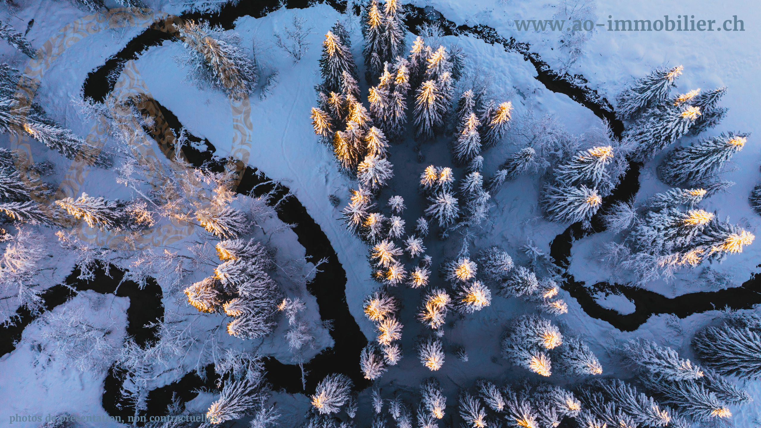 VALLEE DE JOUX proche de la France