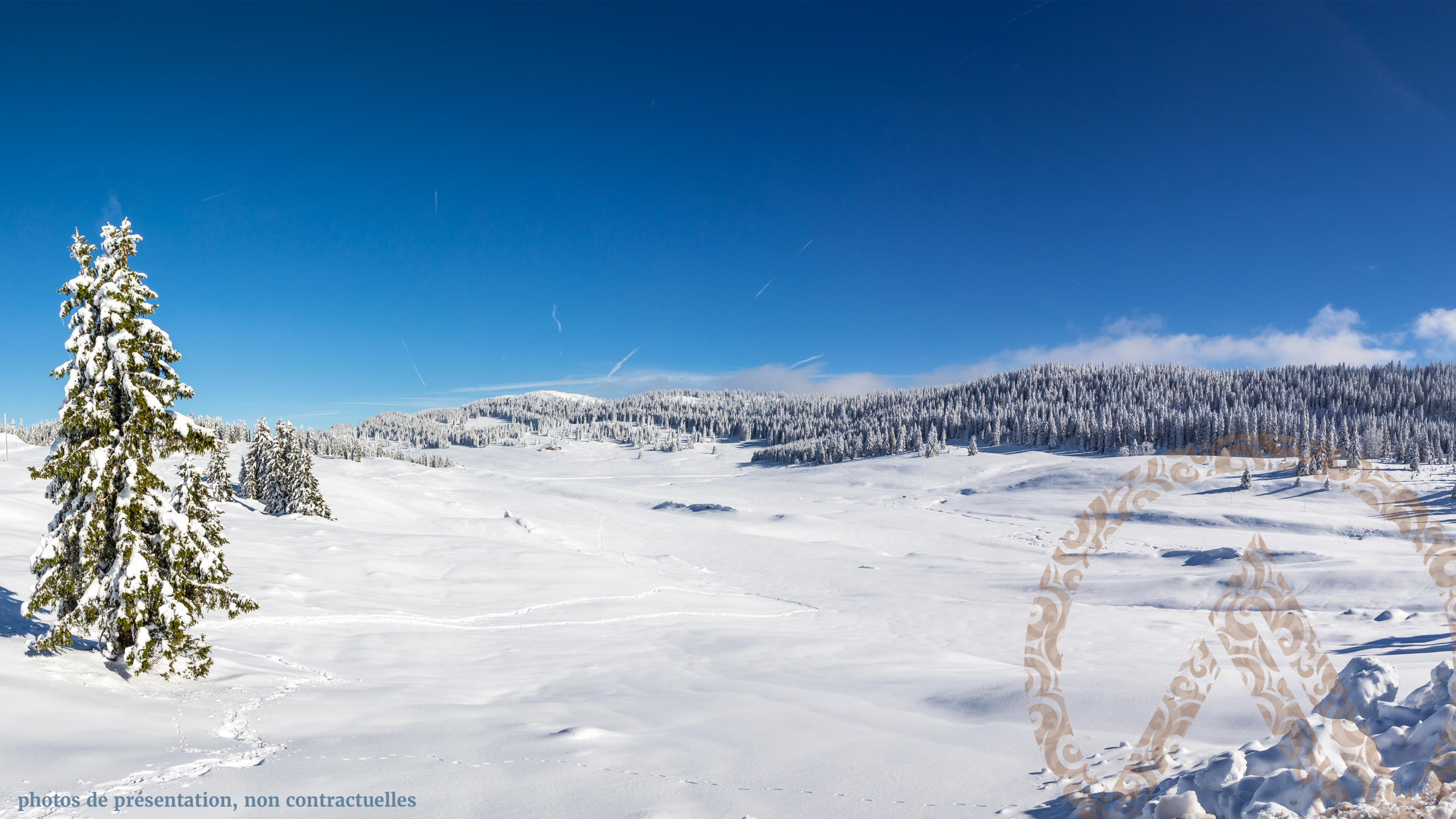VALLEE DE JOUX