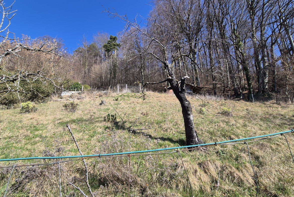 chalet avec vue époustouflante sur parcelle constructible à Grandvaux