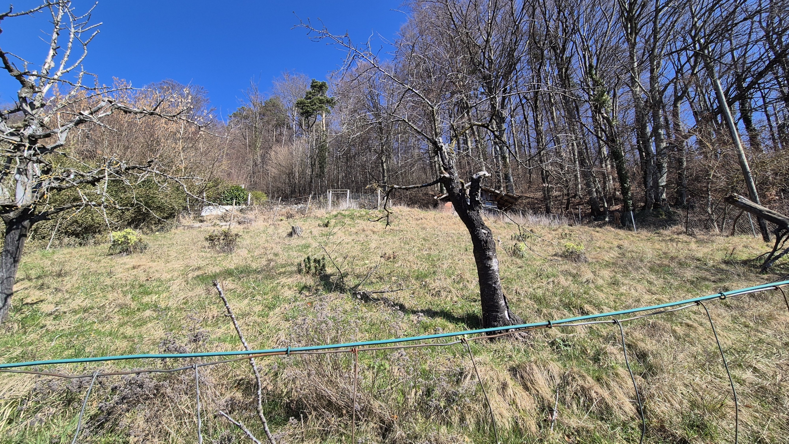 chalet avec vue époustouflante sur parcelle constructible à Grandvaux