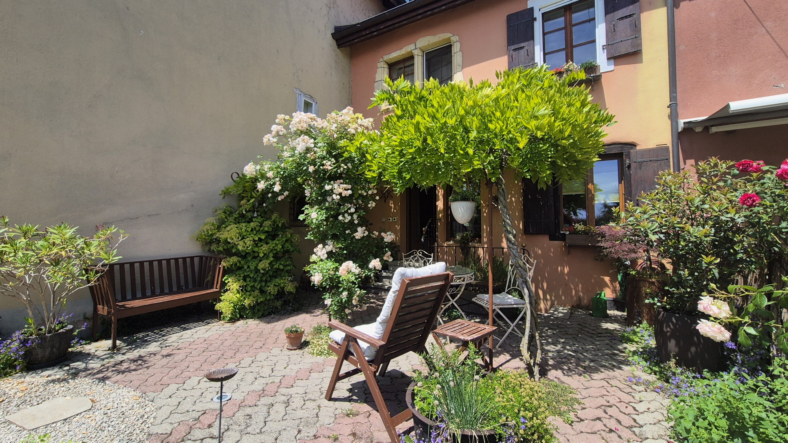 jardin
