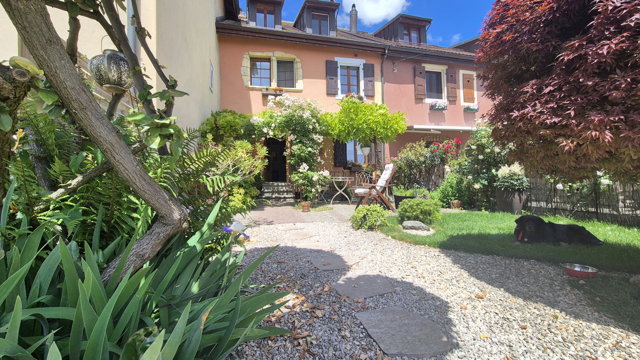jardin