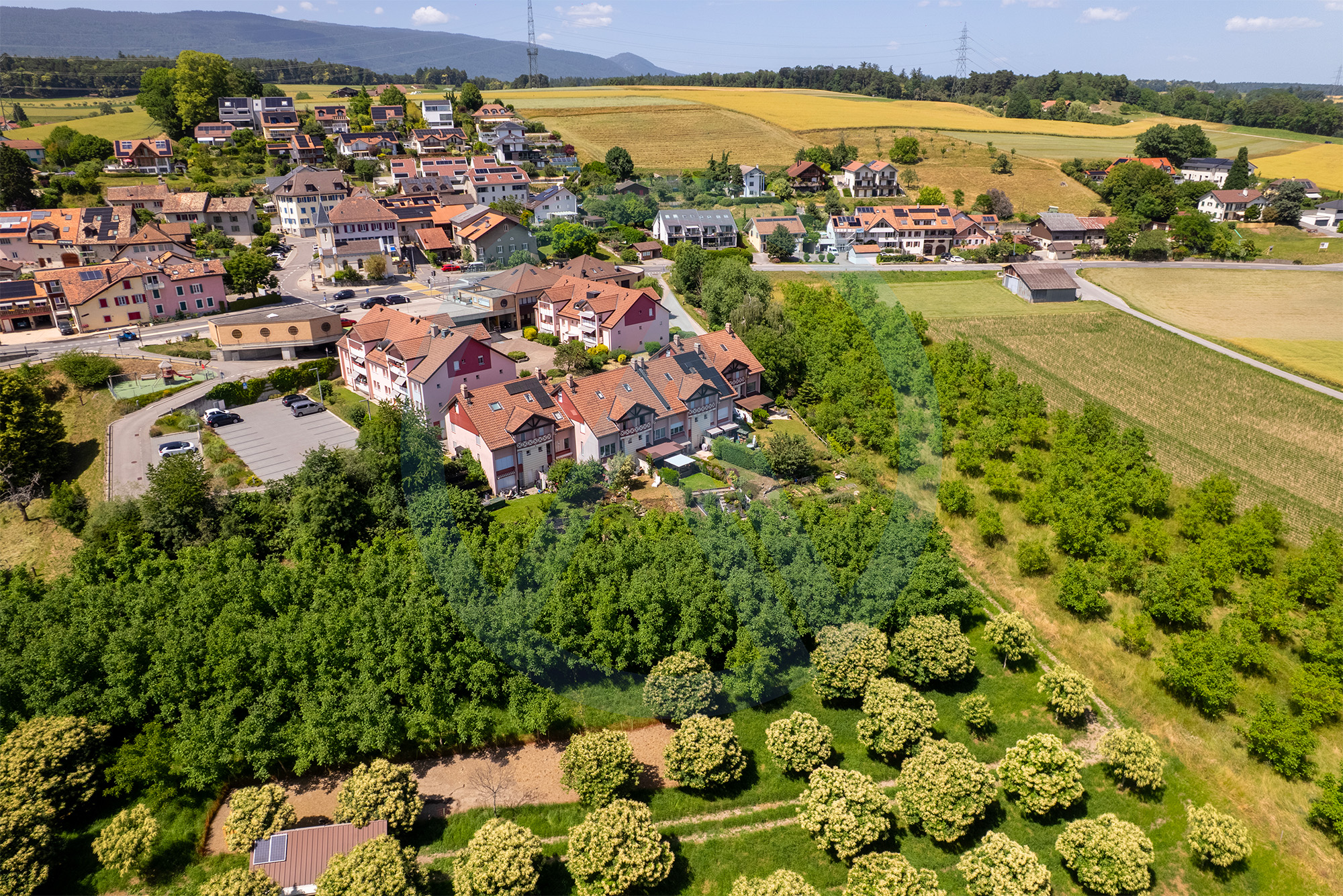 vue depuis le ciel avec champs de noyers et de chataigniers