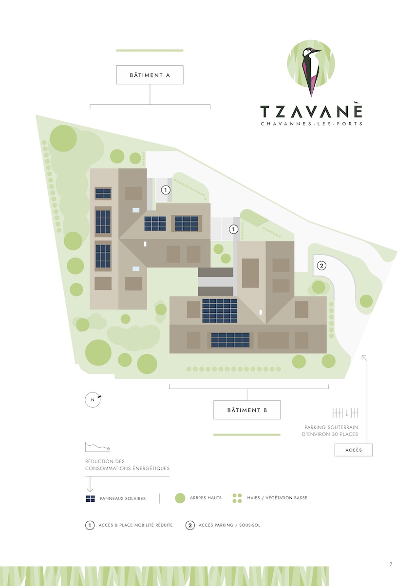 Tzavanè plans global